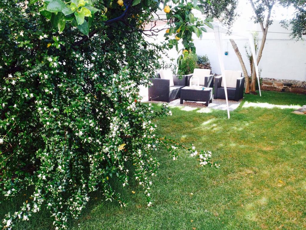 Bed and Breakfast Il Vecchio Ginepro Capoterra Exterior foto