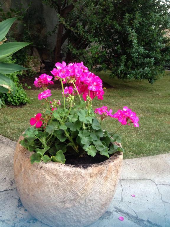 Bed and Breakfast Il Vecchio Ginepro Capoterra Exterior foto